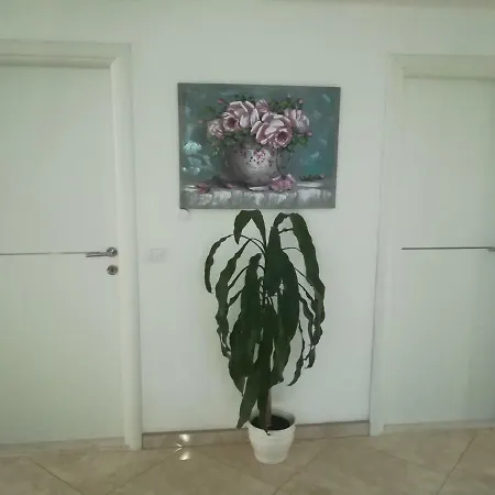 Apartman Daria *